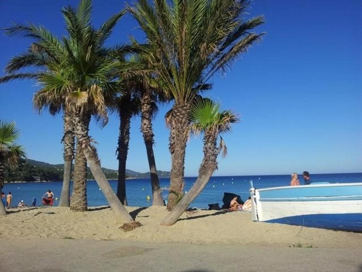 Ferienwohnung Studio Coin Nuit Proche Plage Avec Parking - Le Lavandou - Fr-1-251-83 Exterior foto